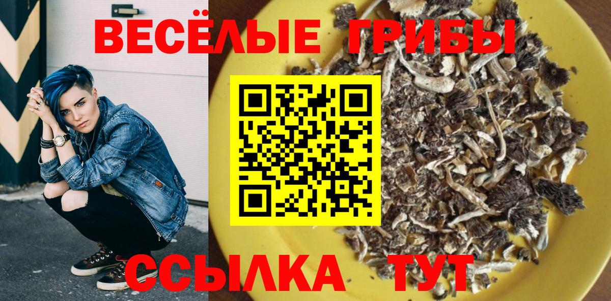 Псилоцибиновые грибы мицелий  Вход с VPN  Егорьевск 