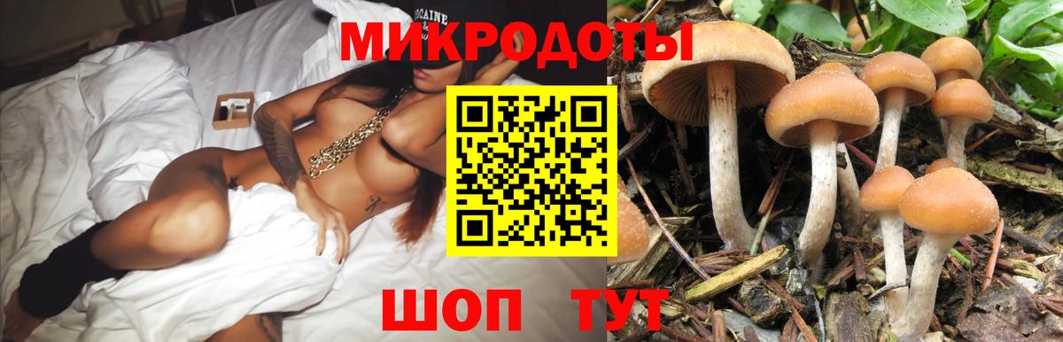 Псилоцибиновые грибы Psilocybe Егорьевск